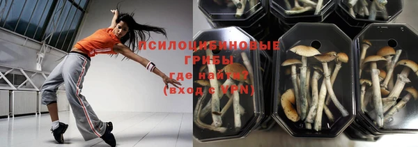 герыч Новозыбков