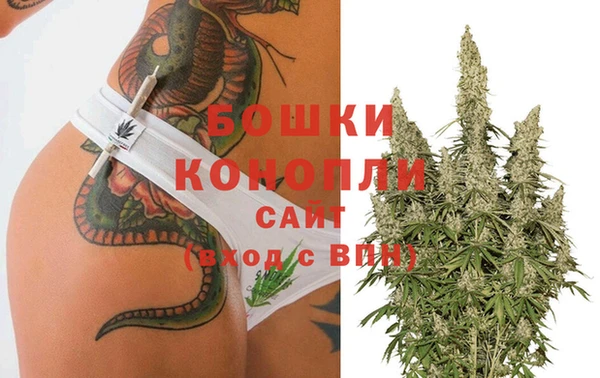 PSILOCYBIN Абдулино