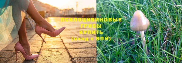 герыч Новозыбков