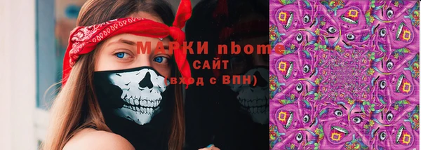 шишки Абаза