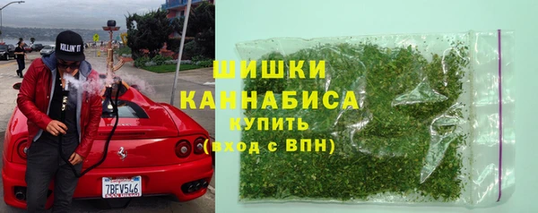 шишки Абаза