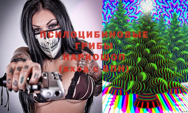 шишки Абаза