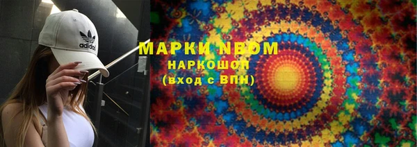 шишки Абаза
