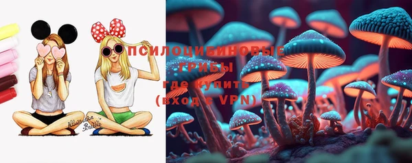 герыч Новозыбков