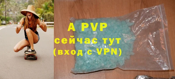 гидра Новокубанск