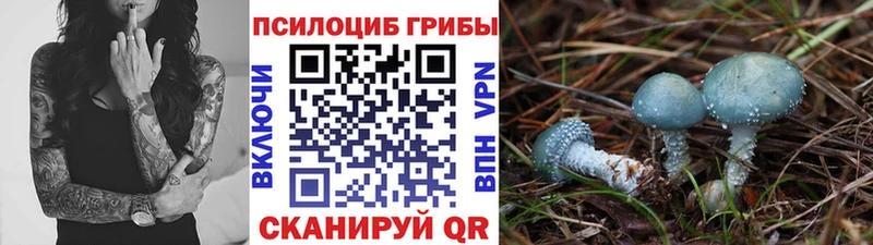 kraken онион  Горячеводский  Галлюциногенные грибы Cubensis 